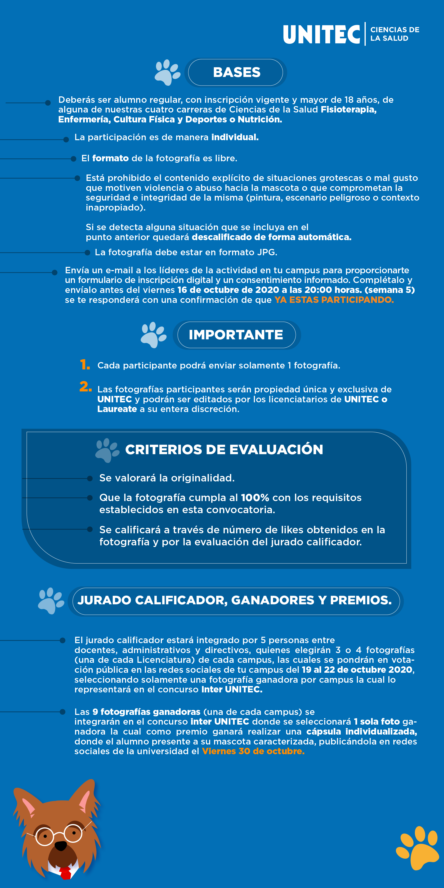 Bases Pet University Bases Pet University